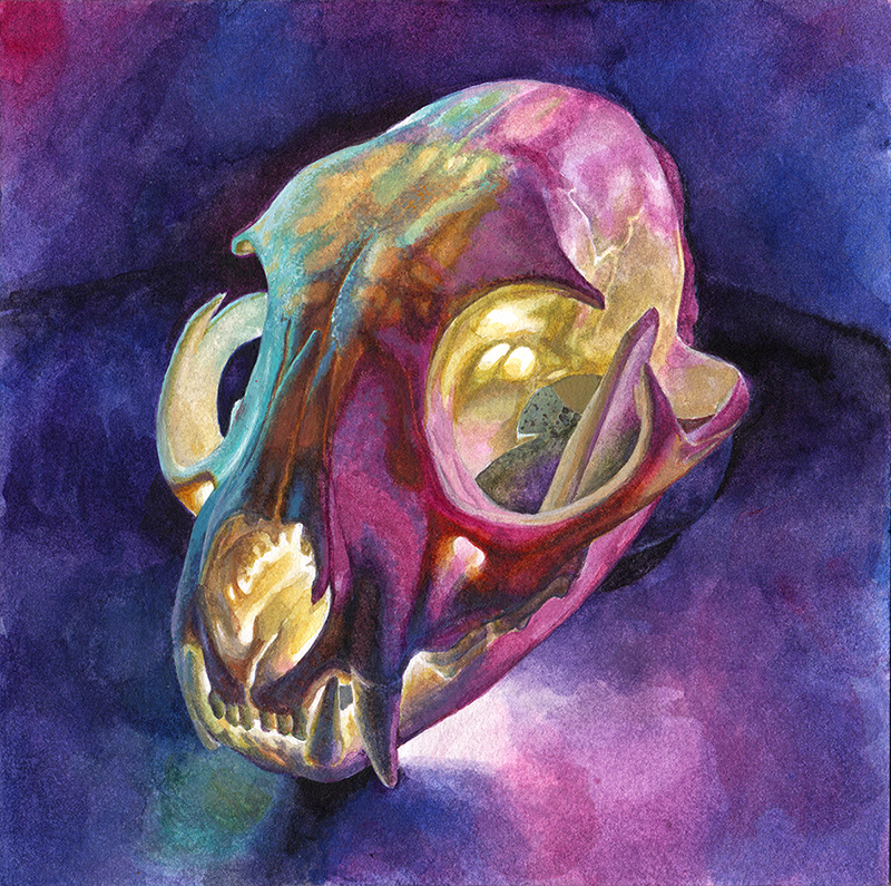 illusoryart